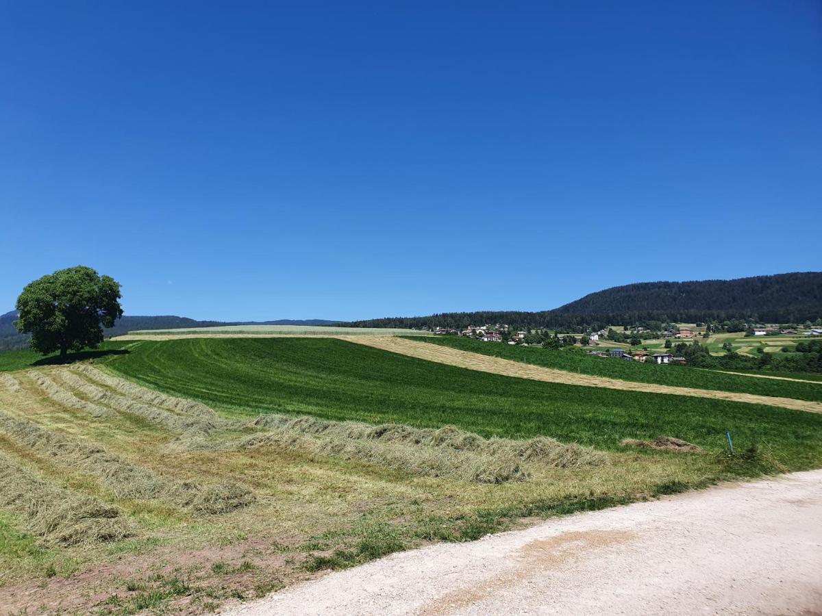 Agritur Belsogno B&B Brez Exteriör bild
